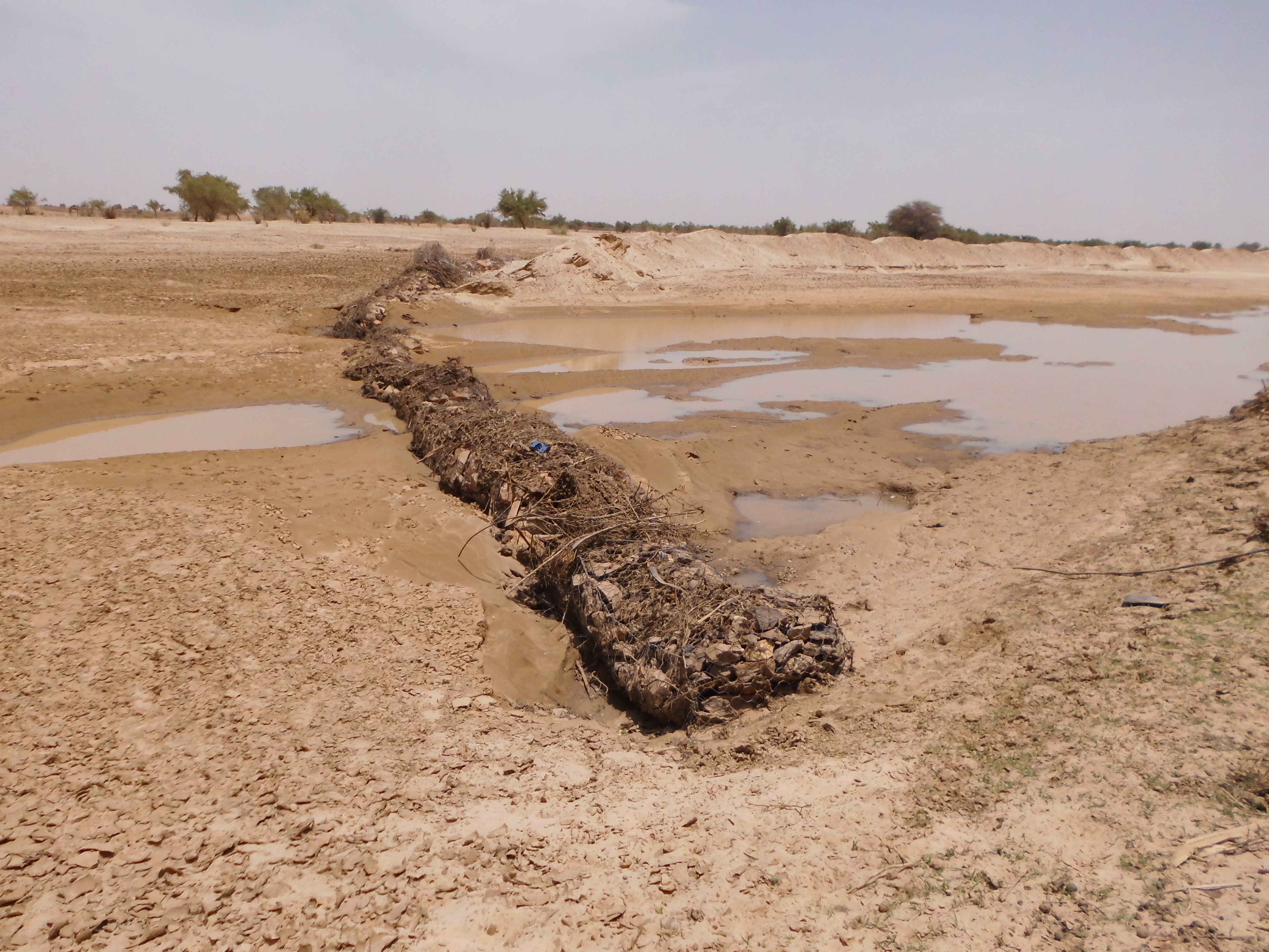 Projet de Restauration et de réhabilitation du couvert végétal et des terres agricoles de l'Oued de Tendel (MAU/SGP/OP5/Y4/CORE/LD/14/01) financé par le PNUD/SGP