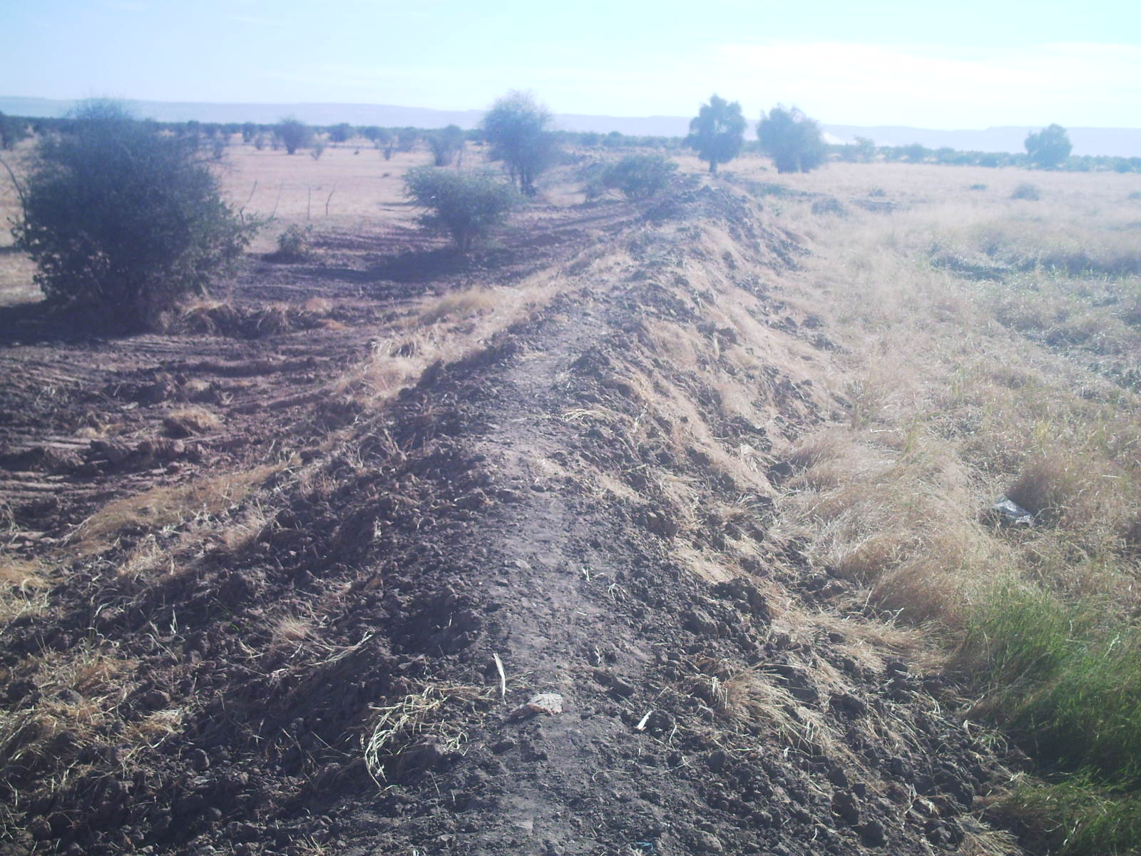 Projet d’Aménagement de la dépression naturelle du village de Lekhteit (moughataa de Magtaa Lahjar) et gestion durable de sol menacé par la dégradation (MAU/MDG-F/AN1/07-09-03) Financé par le PNUD/SGP